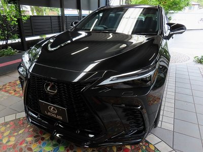 2025 Lexus NX thumbnail 33