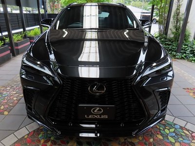 2025 Lexus NX photo 7