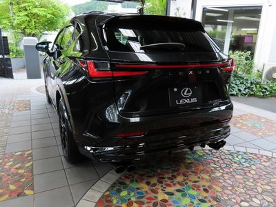 2025 Lexus NX thumbnail 44