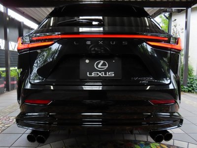 2025 Lexus NX photo 15