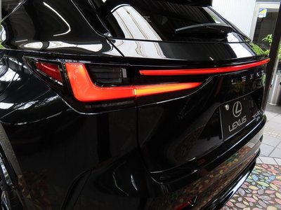 2025 Lexus NX photo 16