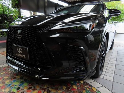 2025 Lexus NX photo 1