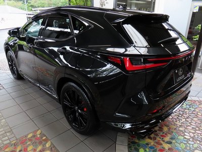 2025 Lexus NX thumbnail 31