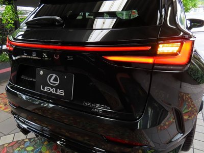 2025 Lexus NX thumbnail 18