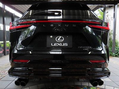 2025 Lexus NX photo 13