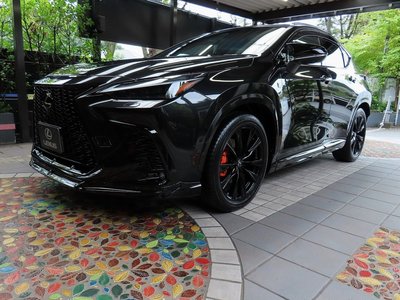 2025 Lexus NX thumbnail 45
