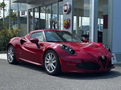 2016 ALFA Romeo 4C — фото 13