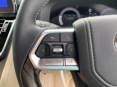 2026 Toyota LAND CRUISER 300 thumbnail 31