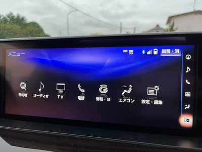 2016 Lexus LX thumbnail 79