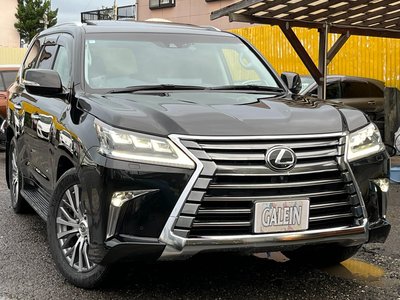 2016 Lexus LX thumbnail 48