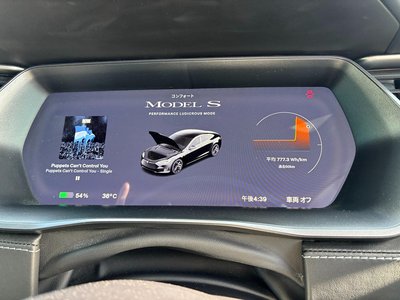 2020 Tesla MODEL S 缩略图 40