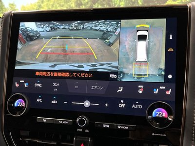 2024 Toyota ALPHARD 照片 6