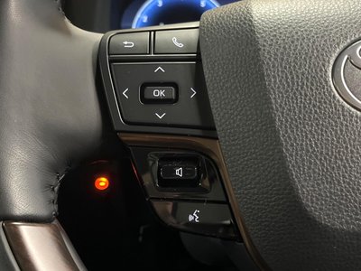2024 Toyota ALPHARD 照片 45