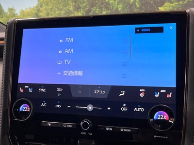 2024 Toyota ALPHARD 照片 37
