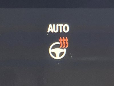 2024 Toyota ALPHARD 照片 40