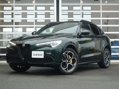 2022 ALFA Romeo STELVIO — фото 1