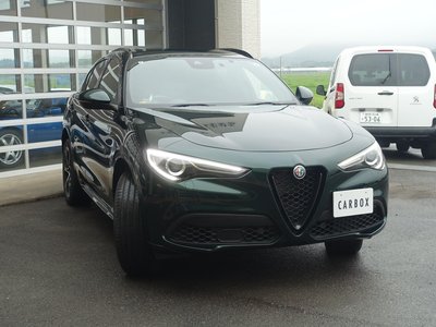 2022 ALFA Romeo STELVIO — фото 5