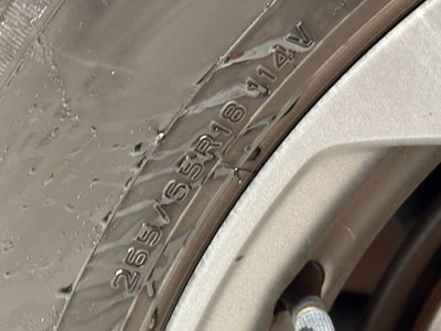 2023 Toyota LAND CRUISER 300 thumbnail 21