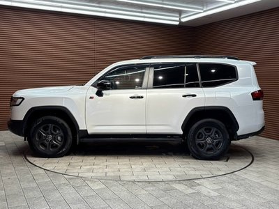 2023 Toyota LAND CRUISER 300 thumbnail 31