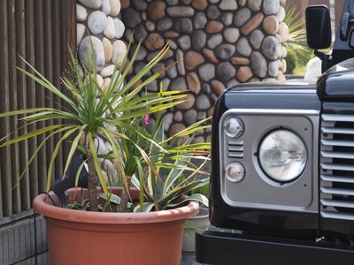 1999 LAND Rover DEFENDER photo 13