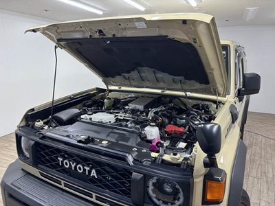 2024 Toyota LAND CRUISER 70 照片 18