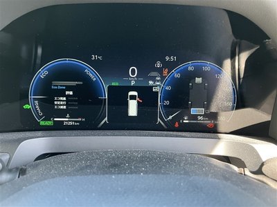2025 Toyota ALPHARD 照片 29