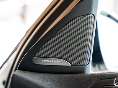 2020 BMW X6 thumbnail 22