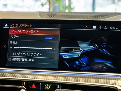 2020 BMW X6 thumbnail 48