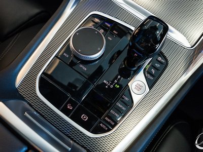 2020 BMW X6 thumbnail 52
