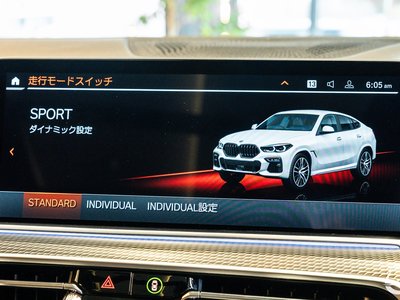 2020 BMW X6 thumbnail 42