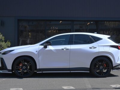2025 Lexus NX 照片 2
