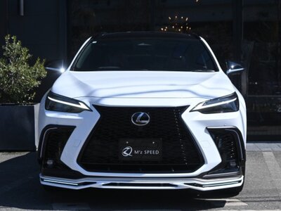 2025 Lexus NX 照片 4