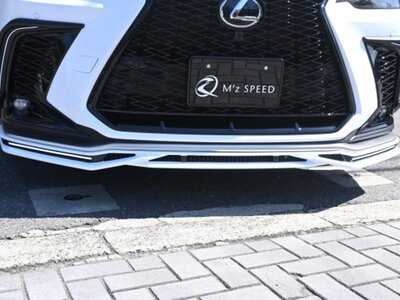 2025 Lexus NX 照片 11