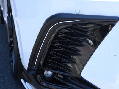 2025 Lexus NX 照片 12