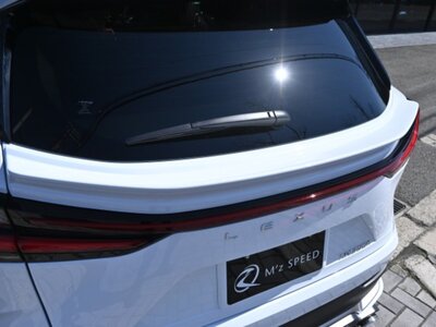 2025 Lexus NX 照片 15