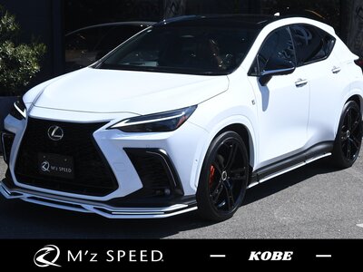 2025 Lexus NX 照片 1