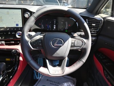2025 Lexus NX 照片 20