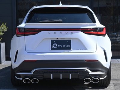 2025 Lexus NX 照片 14