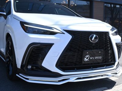 2025 Lexus NX 照片 10