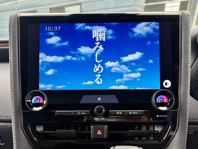 2025 Toyota ALPHARD thumbnail 19