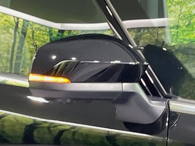 2024 Toyota ALPHARD — фото 24