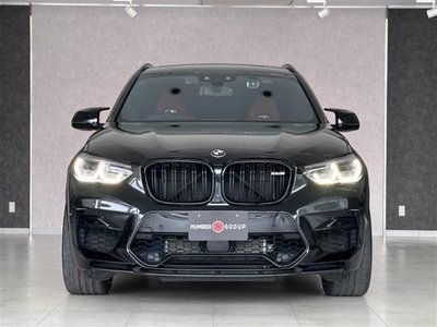 2019 BMW X3 M 照片 86