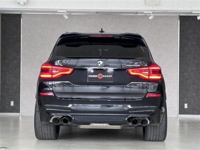 2019 BMW X3 M 照片 88