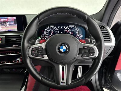2019 BMW X3 M 照片 35