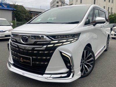 2024 Toyota ALPHARD photo 1