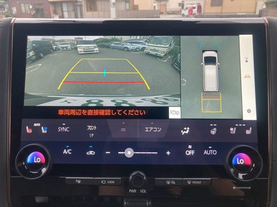 2024 Toyota ALPHARD thumbnail 25