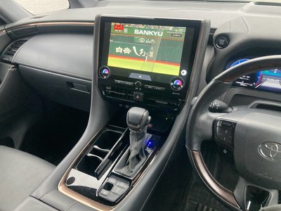 2024 Toyota ALPHARD thumbnail 30