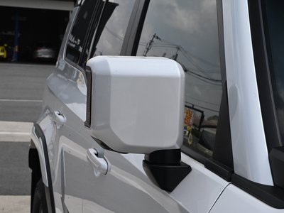 2025 Toyota LAND CRUISER 250 照片 29