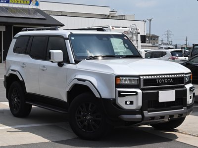 2025 Toyota LAND CRUISER 250 照片 11