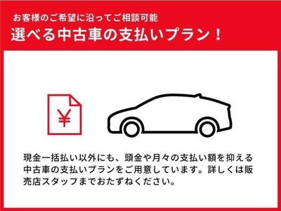 2024 Toyota ALPHARD 照片 37